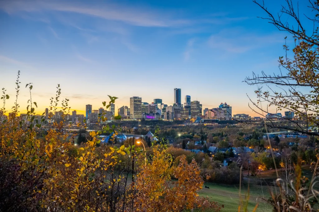 City skyline at sunset with autumn foliage foreground